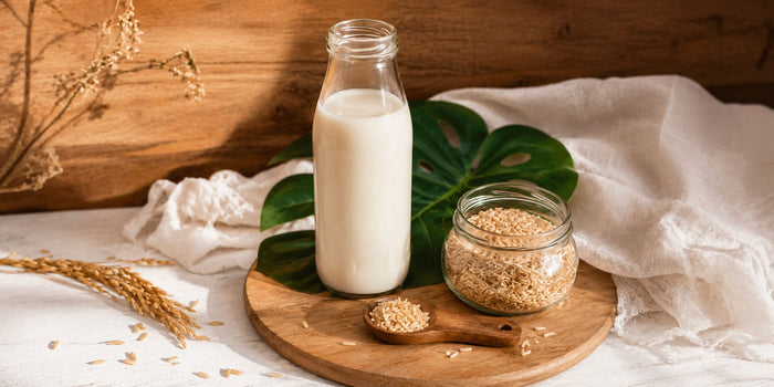 Mit Unverträglichkeiten leben und/oder vegan ernähren: Reismilch selber machen
