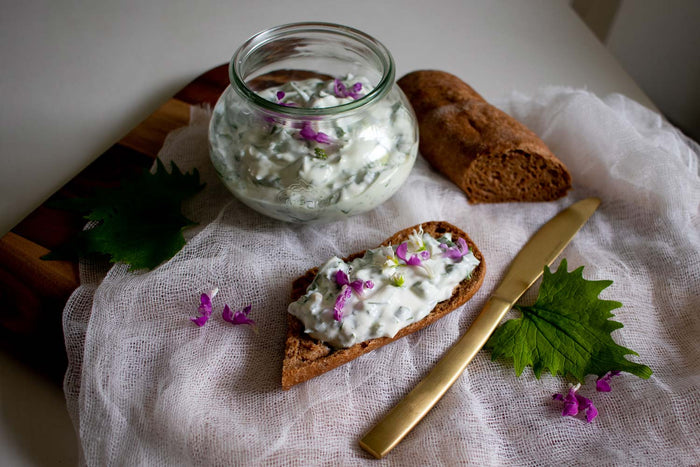 Wildkräuterquark mit Knoblauchsrauke - Rezepte mit Wildkräutern