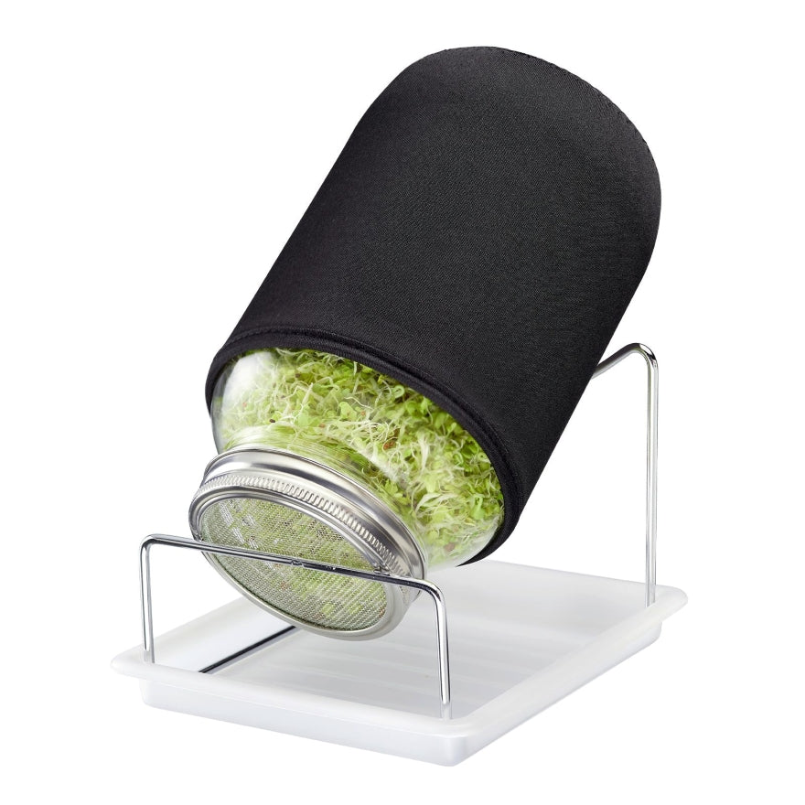 Sprossenglas-Set - 1 Glas 2000 ml